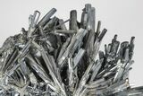 Metallic Stibnite Crystal Spray - Xikuangshan Mine, China #175902-1